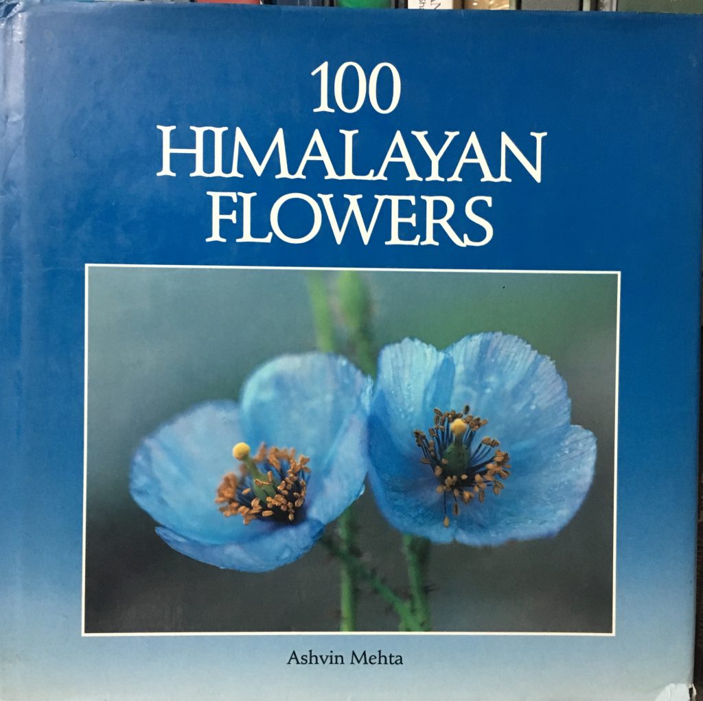 100喜瑪拉雅花卉