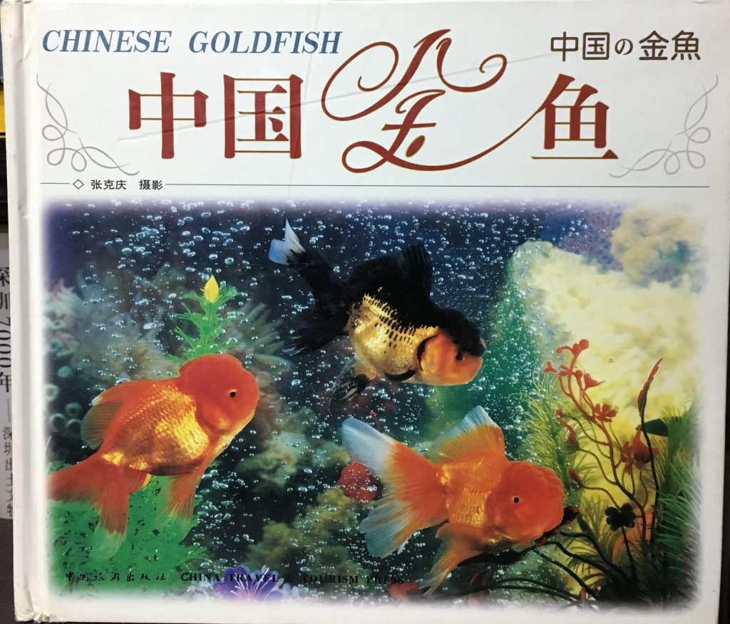 中國金魚